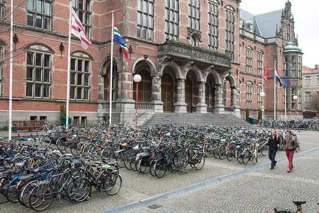 Гронингенский университет